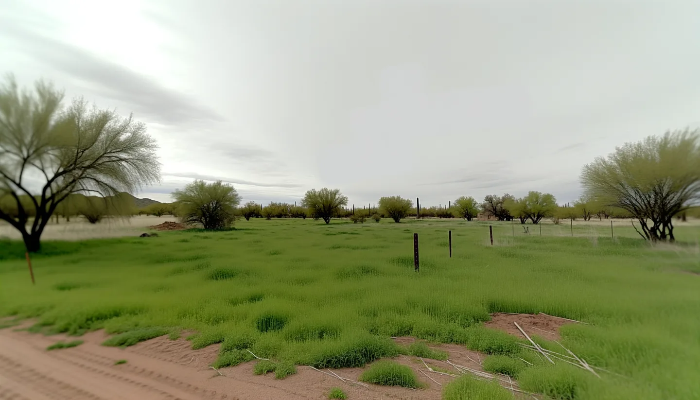 Vacant land parcel for sale in Pinal County, Arizona