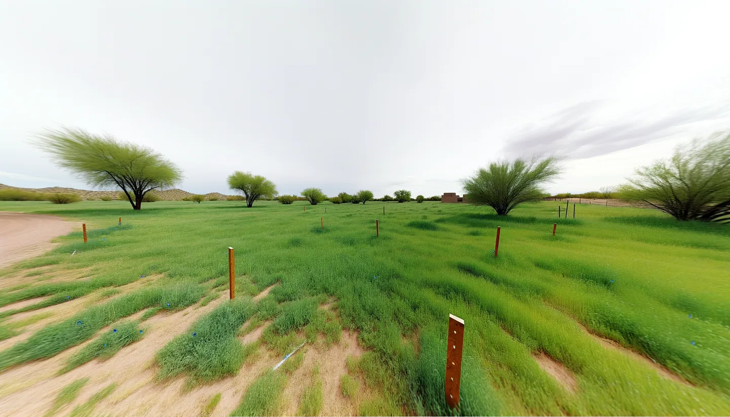 Vacant land parcel for sale in Safford, Arizona