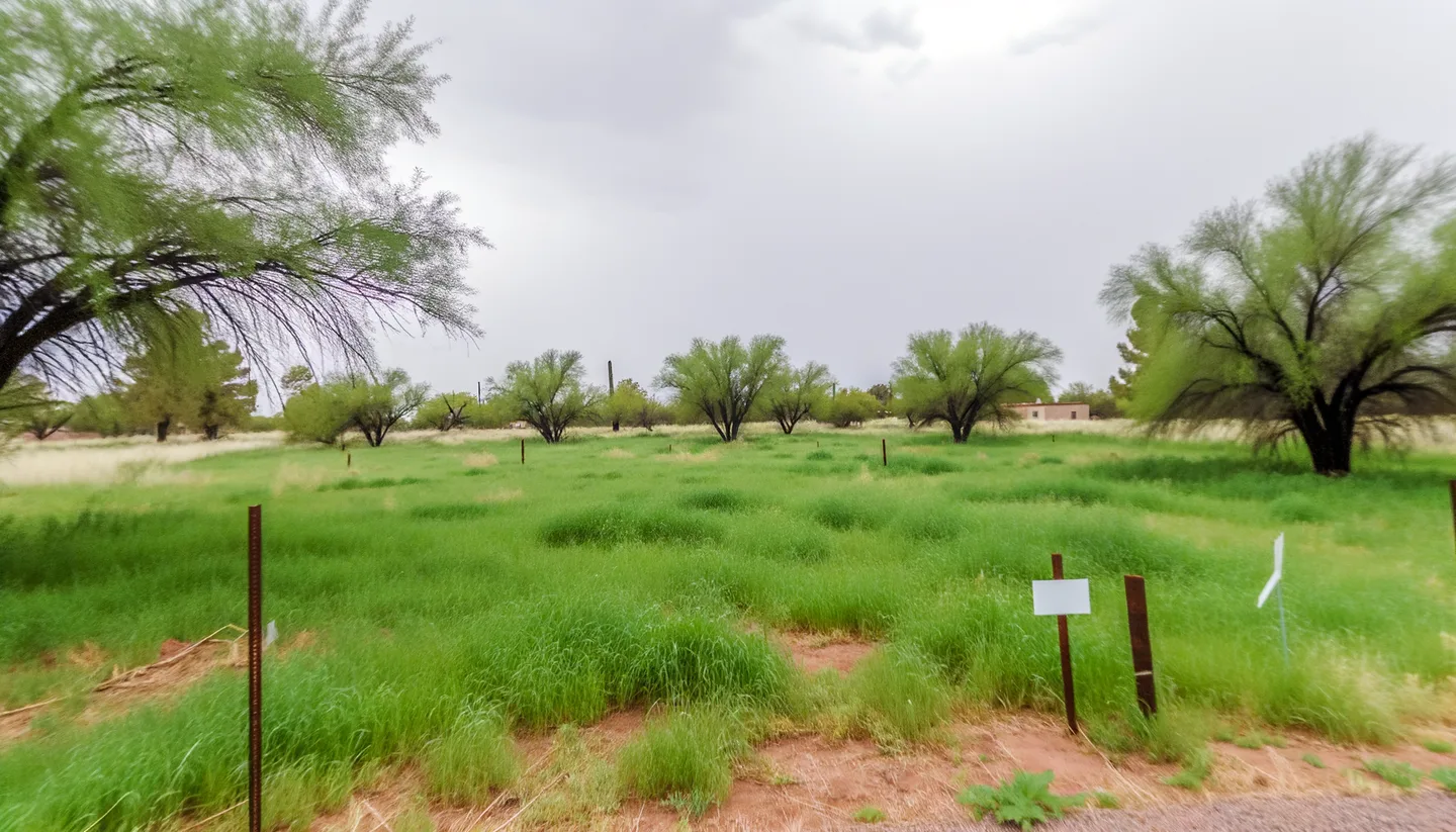 Vacant land parcel for sale in St. Johns, Arizona